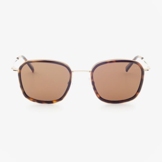 MOREL 80078 TD06 Polarized