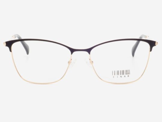 EINAR'S I2I L5310-54 (Σκελετός+Οφθλ.Φακοί)