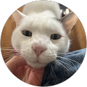 Roza profile picture